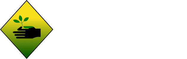 Machado Brothers