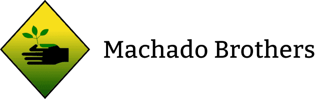A green background with the word machado written in black.